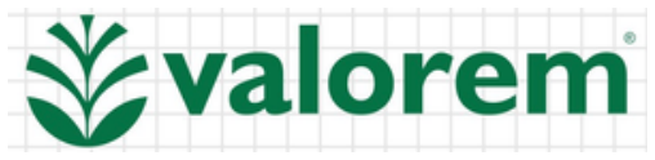 Logo Valorem